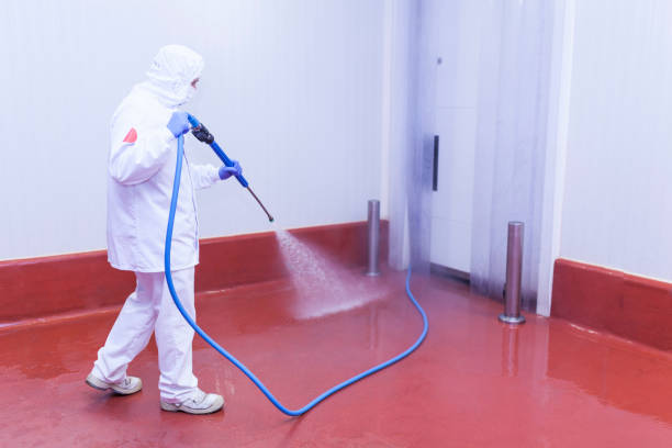 Best Concrete Sealing  in Jesup, IA